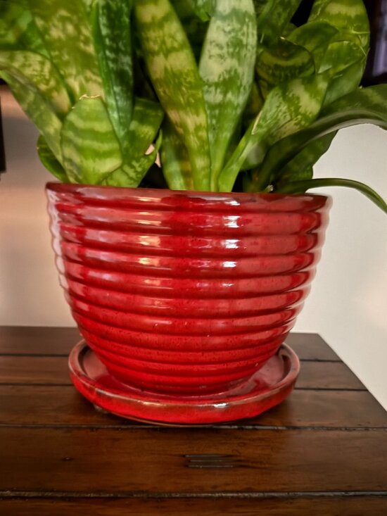 Other - Red Ribbed Ceramic Plant Pot Attached Saucer Tray Modern Farmhouse Planter 8"x6"